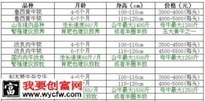 2014年11月嘉祥县锦程养殖场最新、最真实的肉牛犊价格表