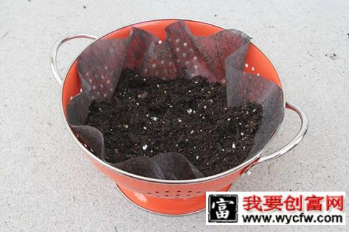 废旧厨房用品沥水盆DIY改造成绿植花盆3