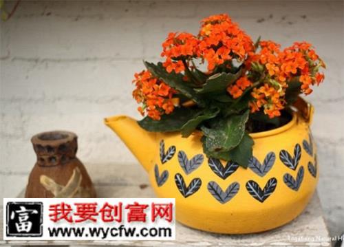 旧茶壶diy个性花盆花器6