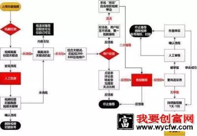 抖音新手养号指南及技巧！