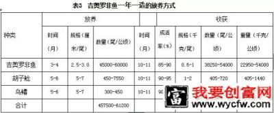 吉奥罗非鱼健康养殖技术