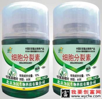 种植龙眼什么时候可以使用植物生长调节剂？