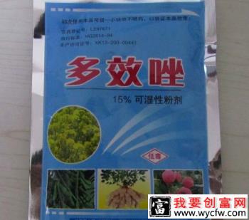 龙眼用什么药控稍好？