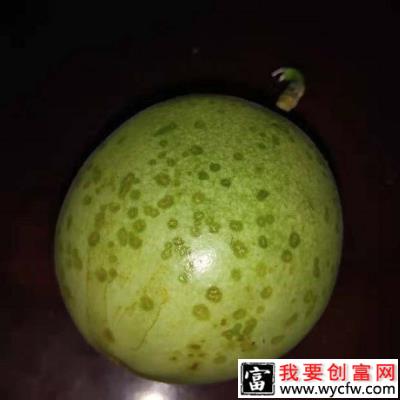 百香果疫病防治特效药有哪些？