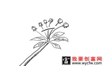 梨树疏花疏果要注意什么？