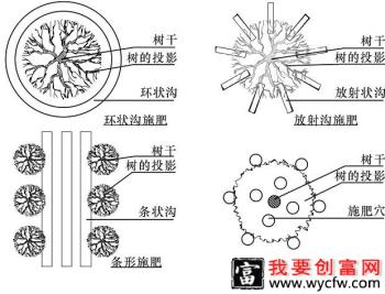 种植桃树如何追肥，桃树追肥用什么方法好？