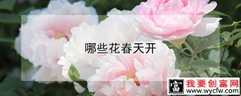 哪些花春天开