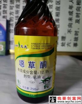 恶草酮在大蒜地使用技术