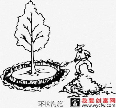 给莲雾施肥用什么方法好，莲雾施肥有几种方法？