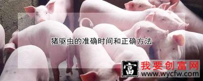 猪驱虫的准确时间和正确方法