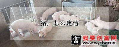 猪厂怎么建造