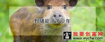 野猪能活多少年