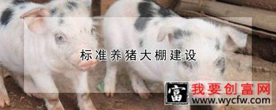 标准养猪大棚建设