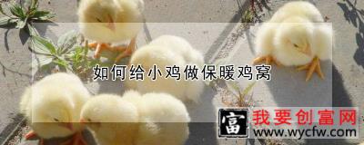 如何给小鸡做保暖鸡窝