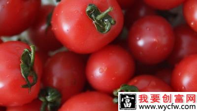 番茄红素有什么功效与作用？
