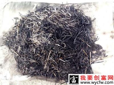 蓝莓施肥用什么肥料？（种蓝莓常用的肥料）