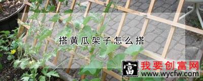 搭黄瓜架子怎么搭