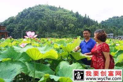 李木良与同为该村“科特派员”的爱人李晓红正查看荷花长势情况