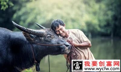 泌阳县河南村靠生态水果种植快速脱贫致富