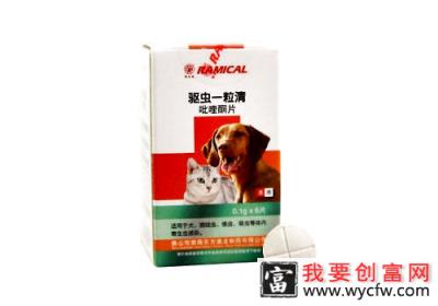 猫咪驱虫要定时定量吗？