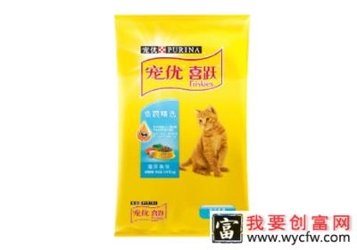 猫居家喂食要注意什么？