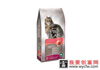 猫粮选择要适合猫咪的口味