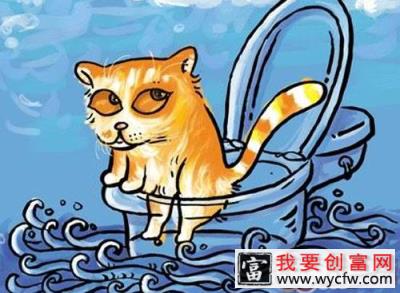 大庭广众之下的猫砂盆