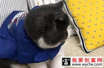 猫咪吃了化毛膏会出现什么症状？