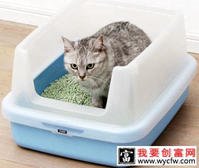 你的猫砂盆放对地方了吗