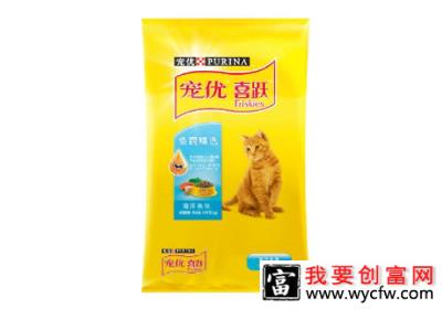 猫居家喂食要注意什么？