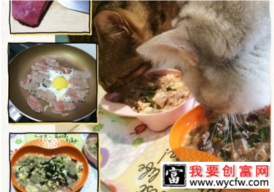 【美食攻略】自制猫咪牛肉鸡蛋饭