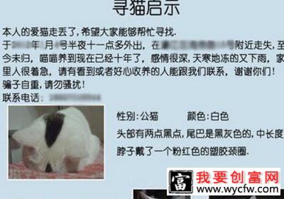 猫咪走丢怎么办