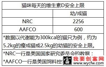 人类的钙片能给猫吃吗？