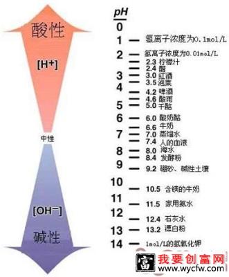 狗狗尿液会导致爆胎是真的吗