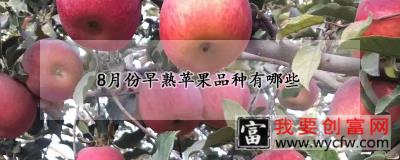 8月份早熟苹果品种有哪些