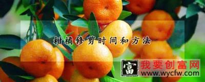 柑橘修剪时间和方法