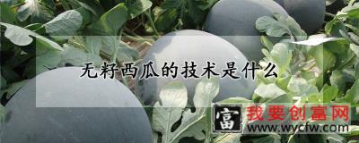 无籽西瓜的技术是什么