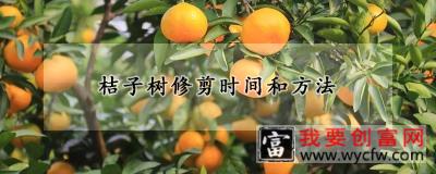 桔子树修剪时间和方法