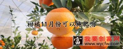 柑橘11月份可以施肥吗