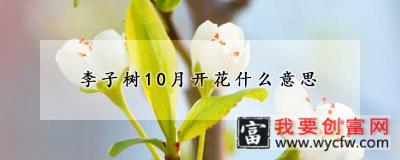 李子树10月开花什么意思