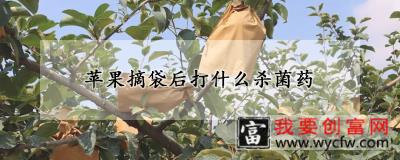 苹果摘袋后打什么杀菌药