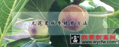 无花果秋季修剪方法