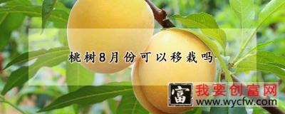 桃树8月份可以移栽吗