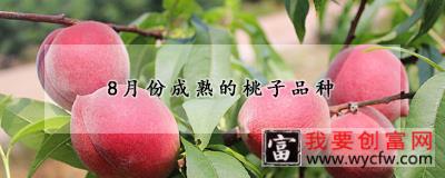 8月份成熟的桃子品种