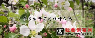 苹果树开花时施什么肥