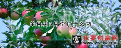 苹果树8月份打什么药