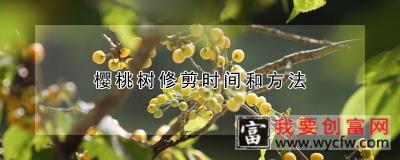 樱桃树修剪时间和方法