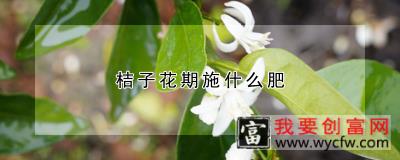 桔子花期施什么肥