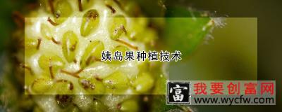 姨岛果种植技术