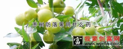 枣树防落果用什么药